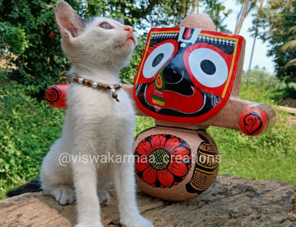 Laxmi Rupam Patitapabana Murti with a cat